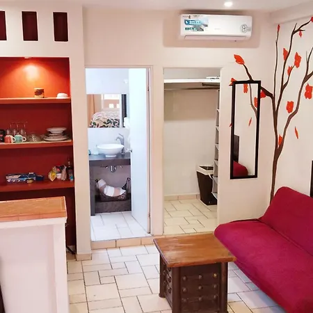 Studio In The Heart Of Cabo San Lucas