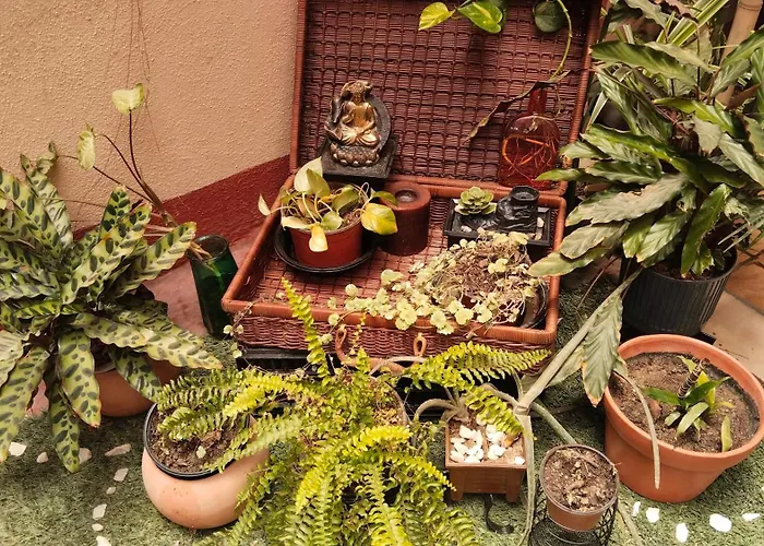 In The Heart Of Apartamento